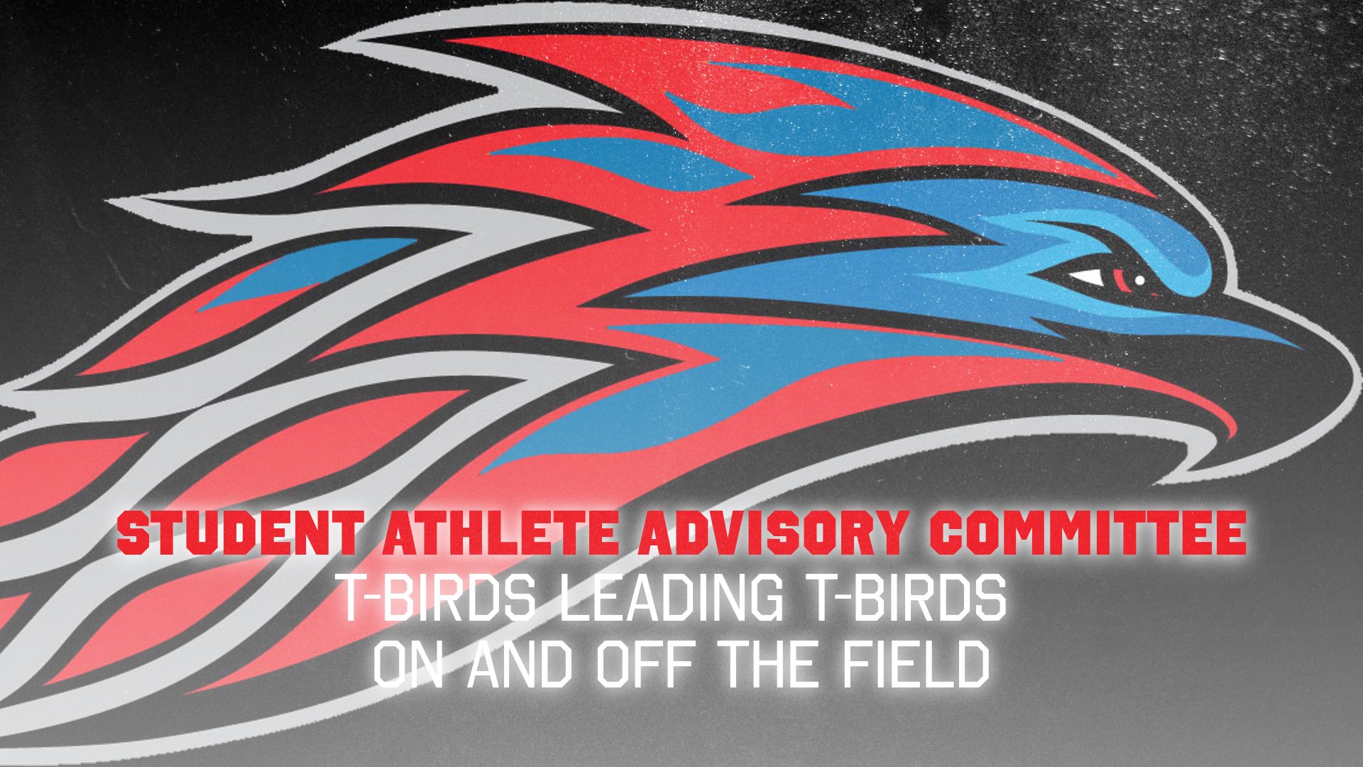 Student-Athlete Advisory Committee