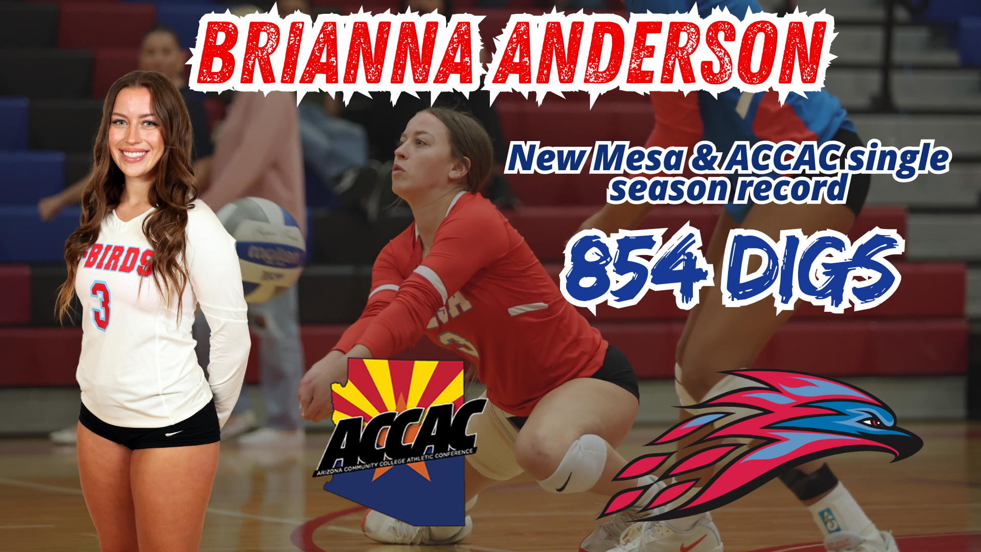 Brianna Anderson sets new school and conference record for digs in a single season