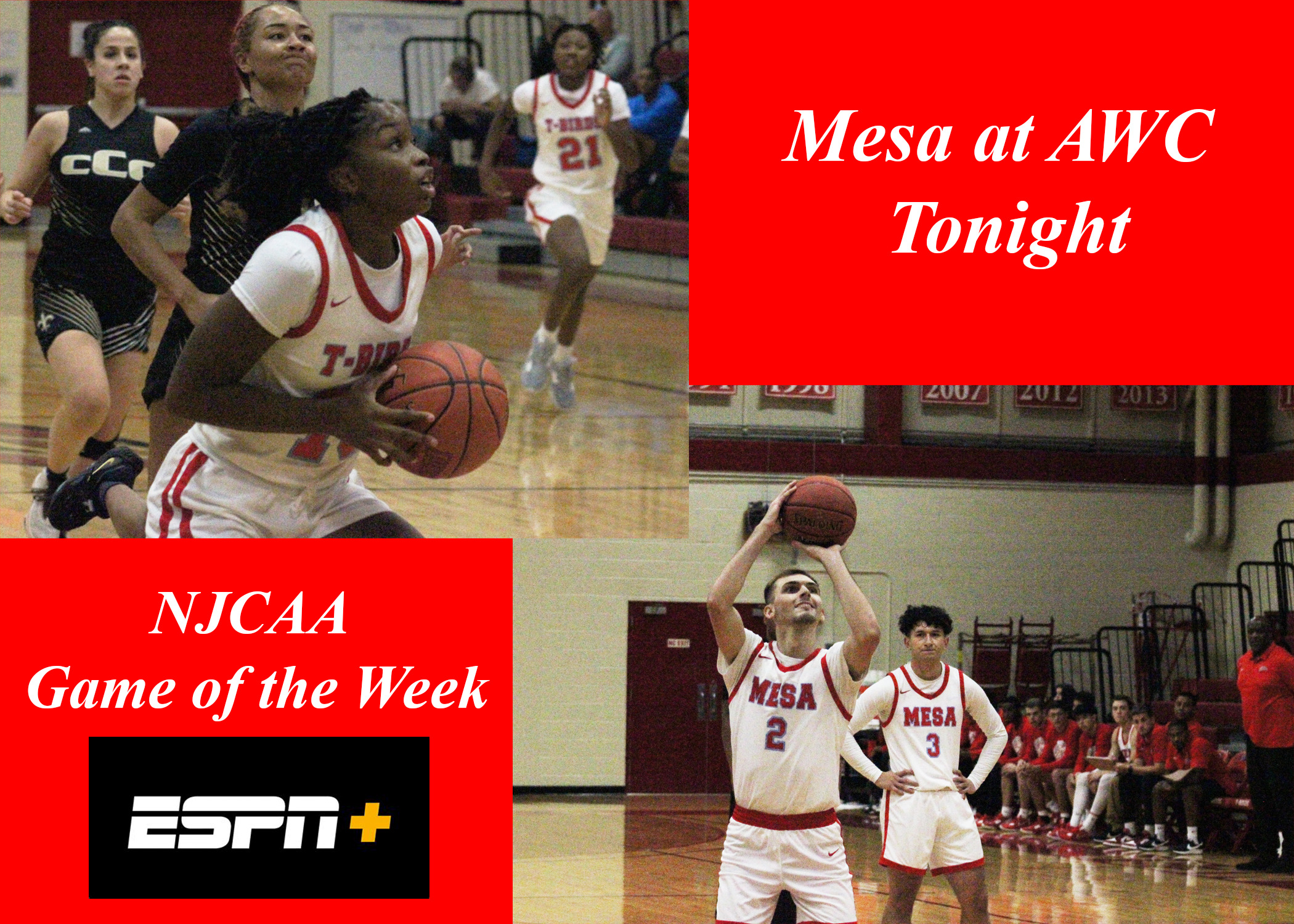 Mesa Basketball Visits AWC in NJCAA Game of the Week