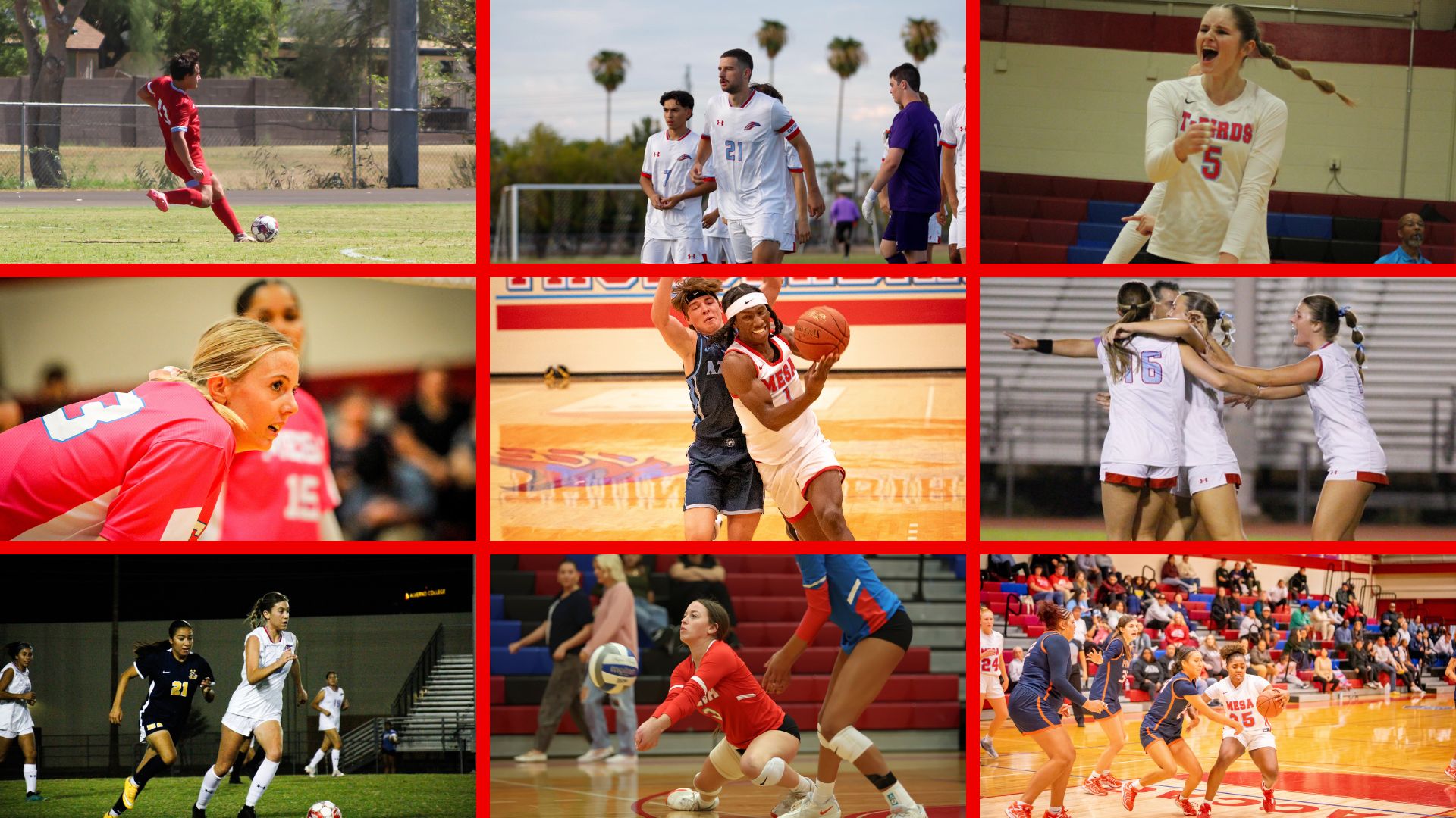 Check out the Mesa Athletics photo galleries!