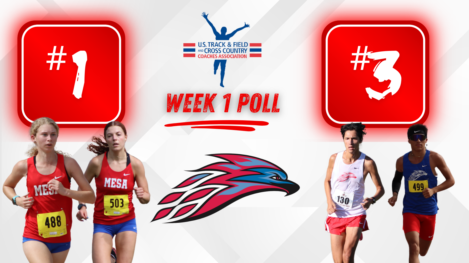 Mesa Cross Country remains a formidable program in the latest USTFCCCA Poll