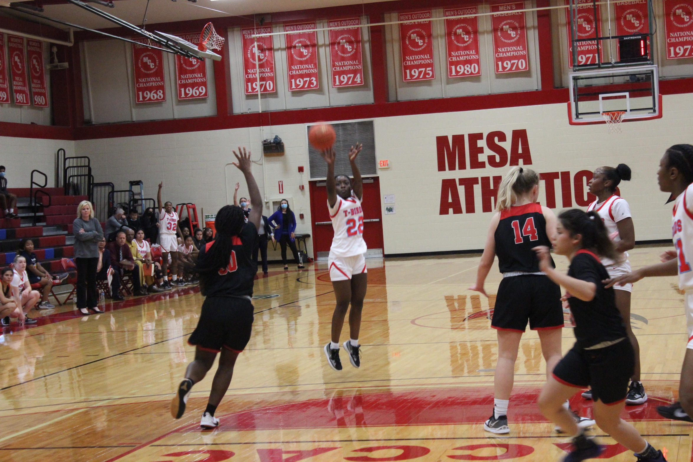 (#13) Thunderbirds Advance To Region I, DII Title Game