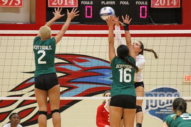 #17 T-Birds Blank Artichokes in Straight Sets, 3-0