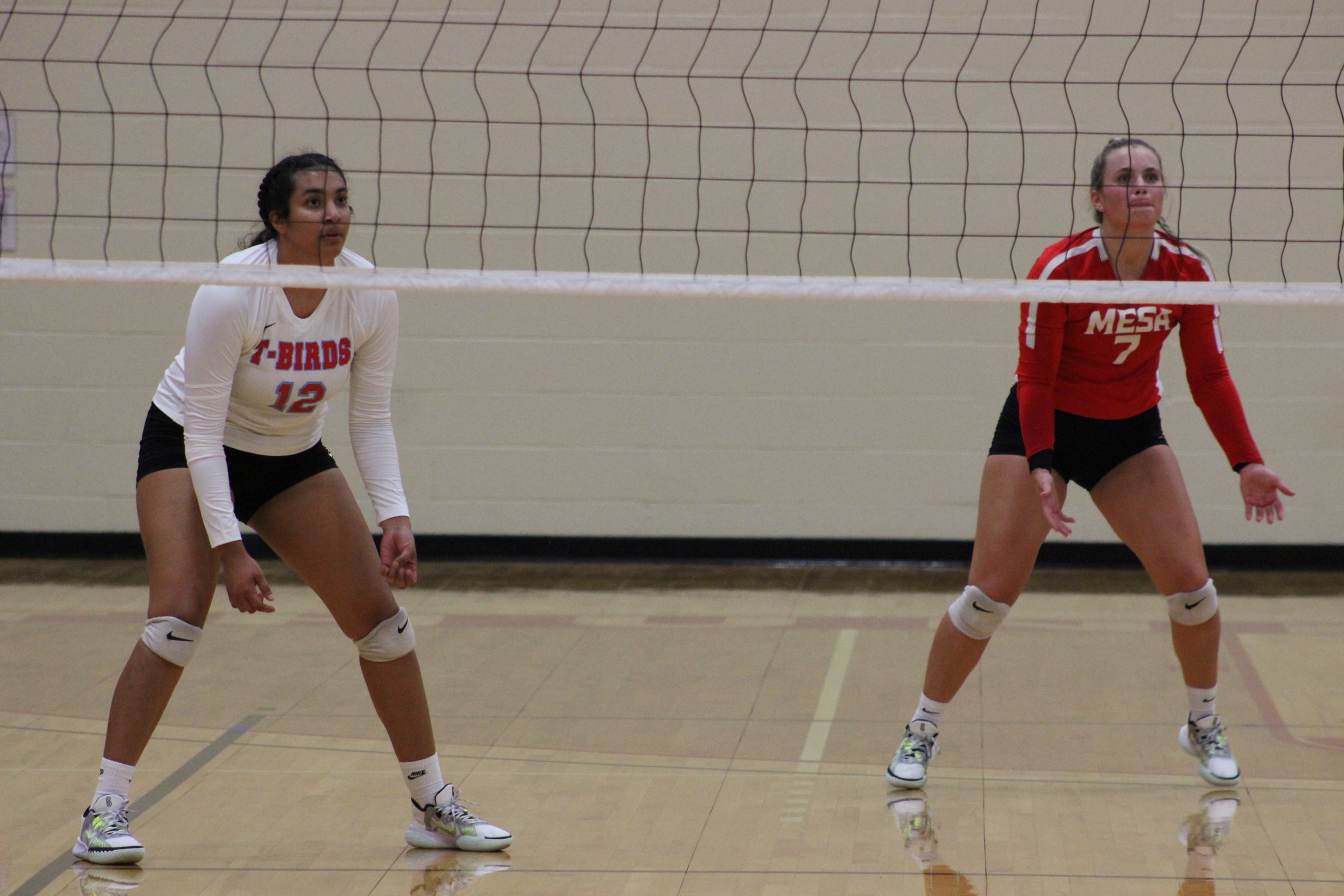 MCC Volleyball Falls in Home Opener to #14 Glendale, 3-0