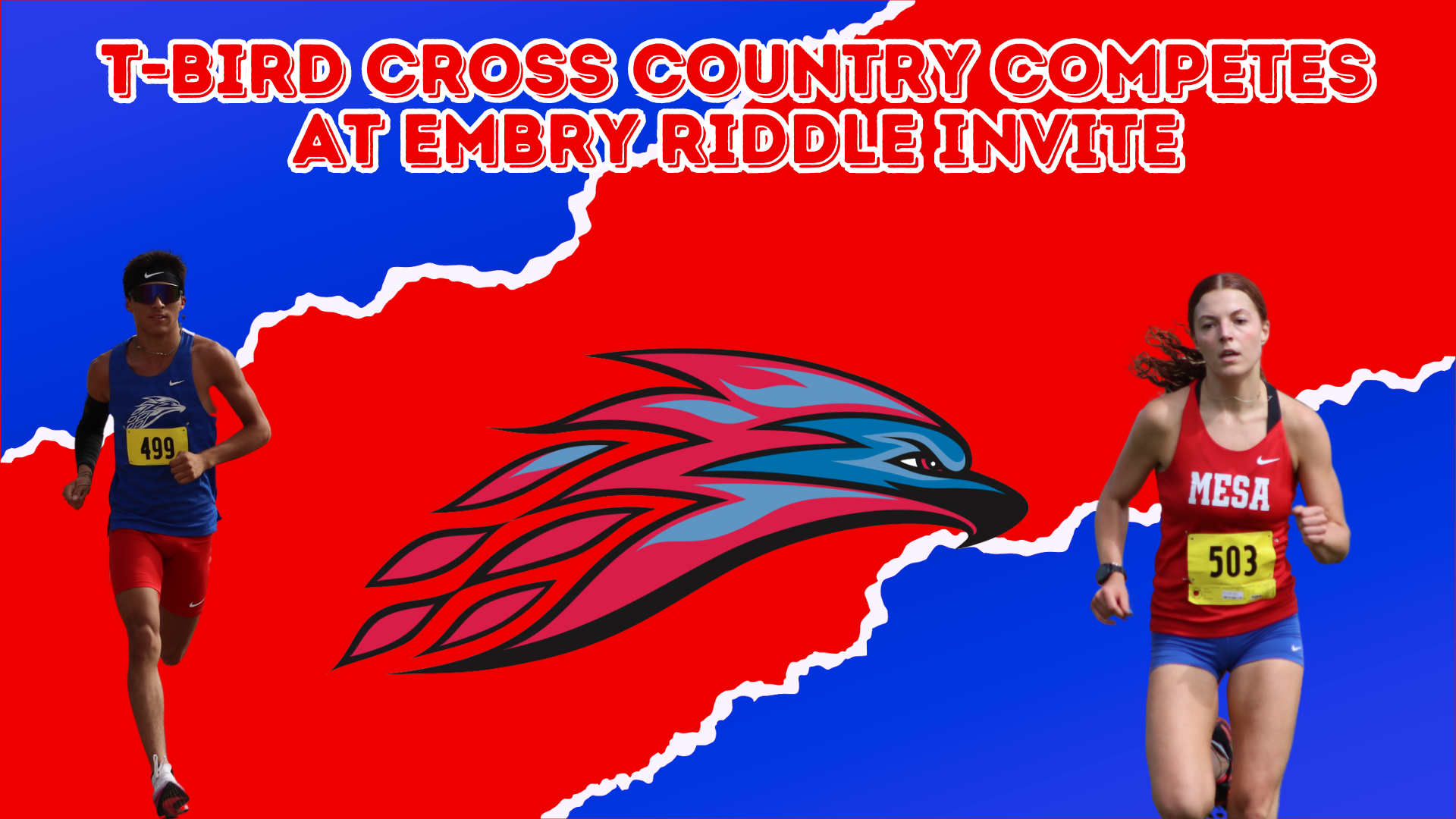 T-Bird Cross Country makes strides at Embry Riddle Invite